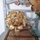 Sheet lamp *F10
