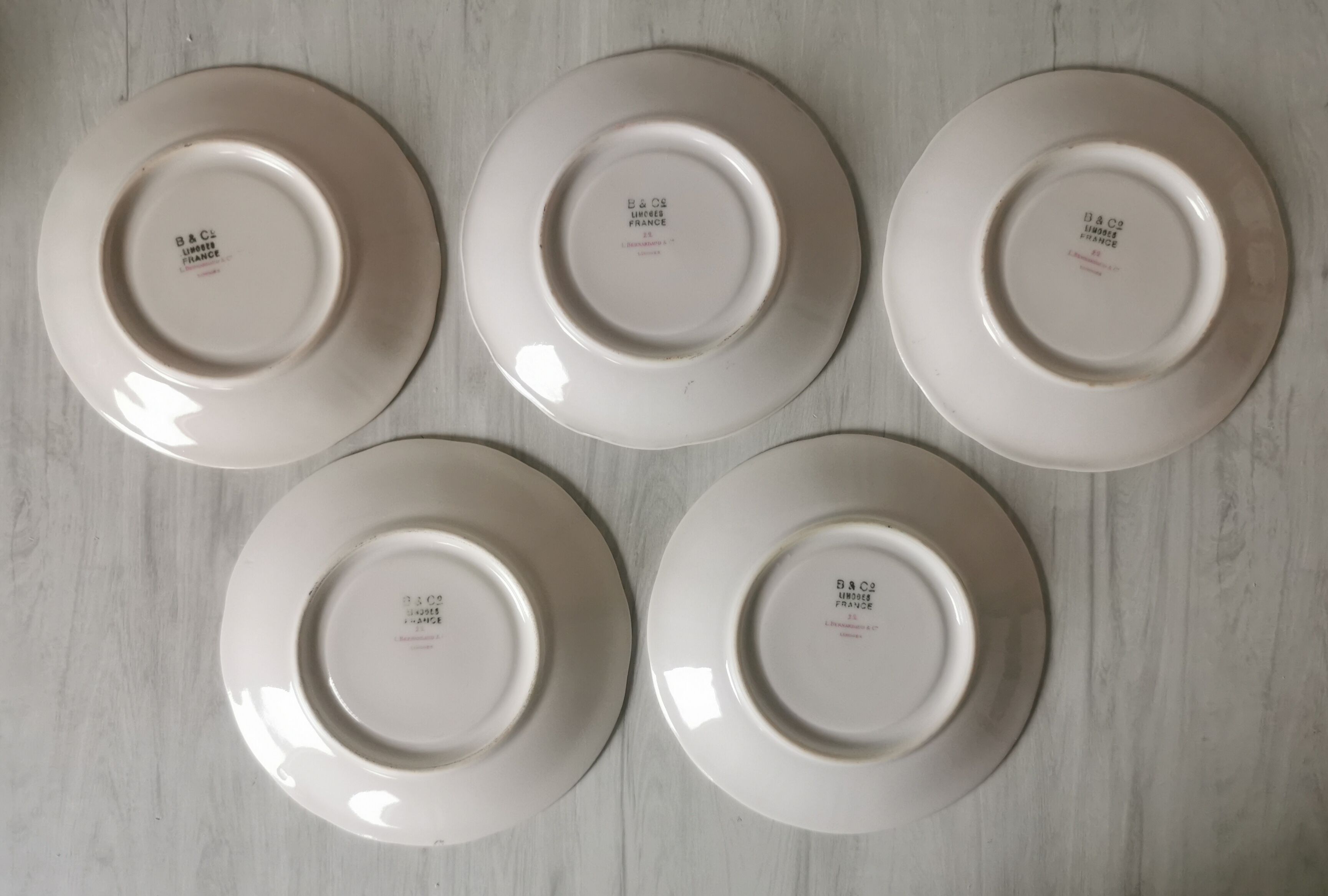 Dessert service and coffee Bernardaud Limoges