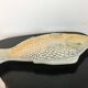 Multicolored ceramic fish zoomorphic dish