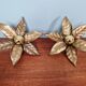 Pair of floral wall sconces in brass, design by Willy Daro, 1970.
