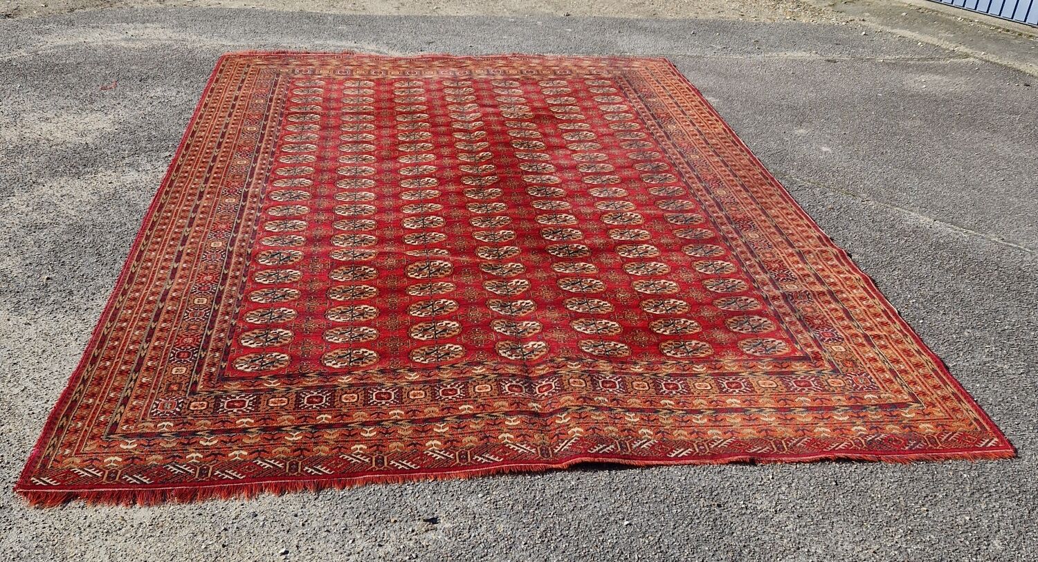 Bukhara carpet 344x246 cm