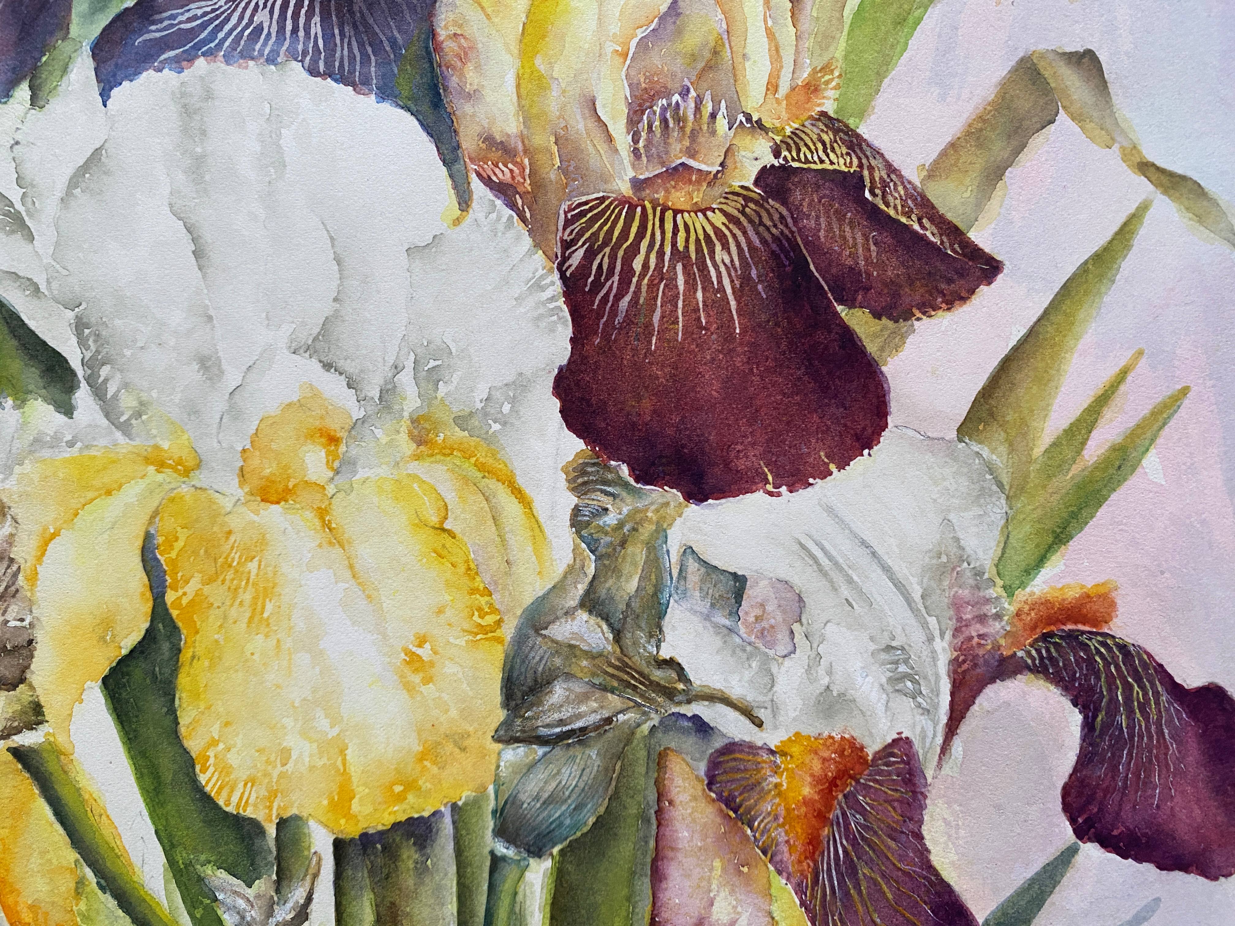 Tableau aquarelle naturaliste "Les Iris" signée B. Thierry 1995