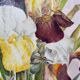 Tableau aquarelle naturaliste "Les Iris" signée B. Thierry 1995