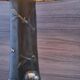 Large bronze lamp nynph in the bath 63x38 superb tiffany style lampshade