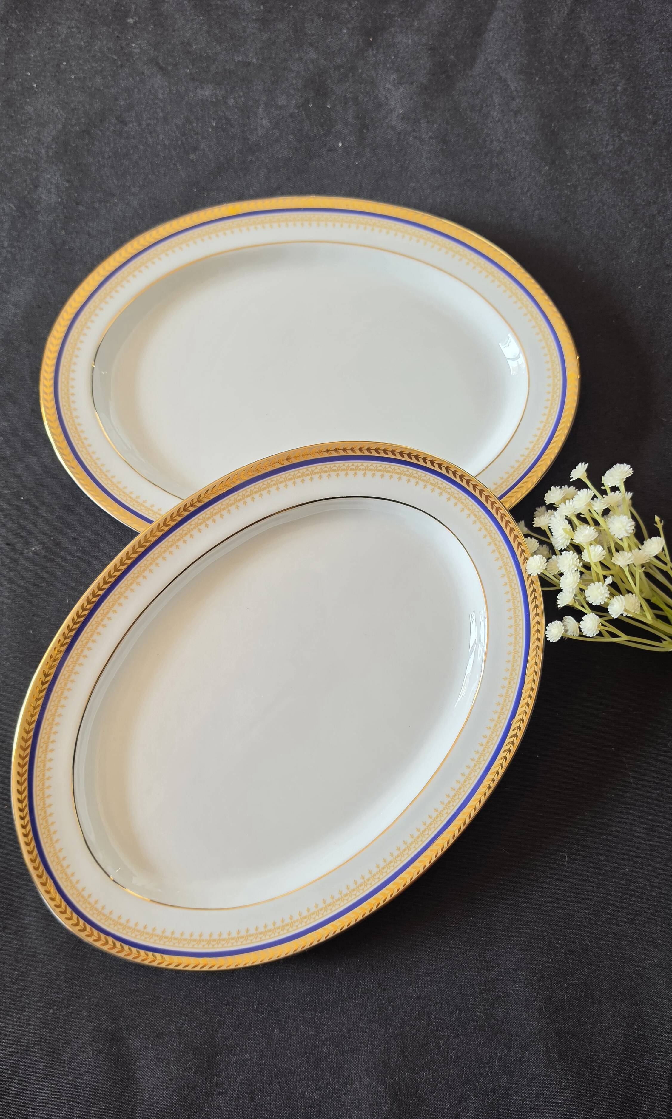 Set of 2 oval shrimp dishes in Limoges porcelain "Blue de F"