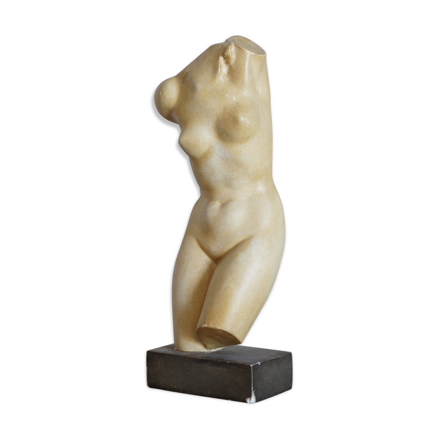 Venus bust