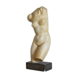 Venus bust