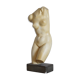Buste de Vénus
