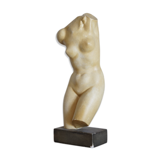 Venus bust