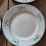 Assiettes à dessert bleuet