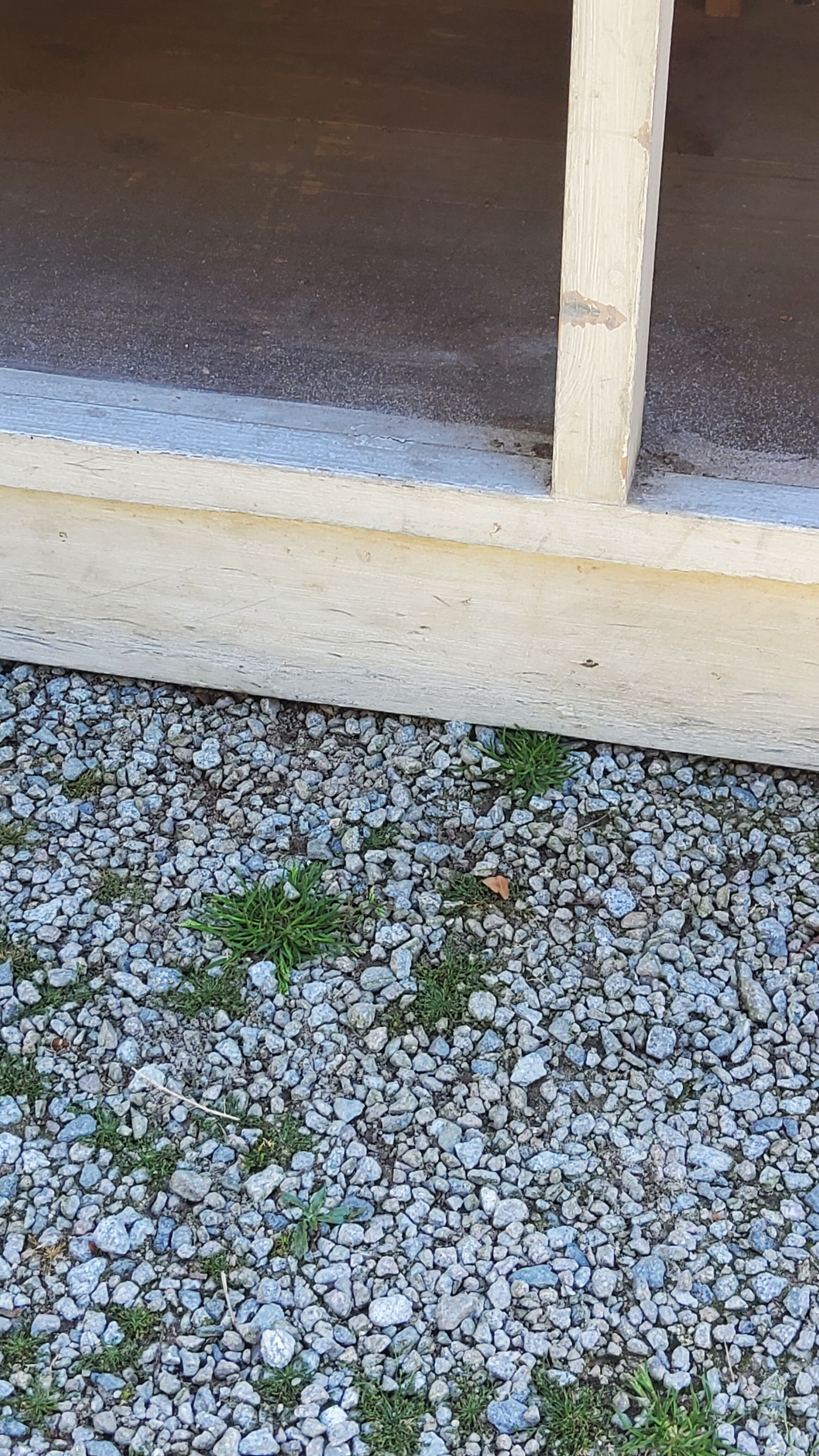 Grocery counter from the 30s