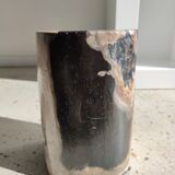 Side table in petrified wood