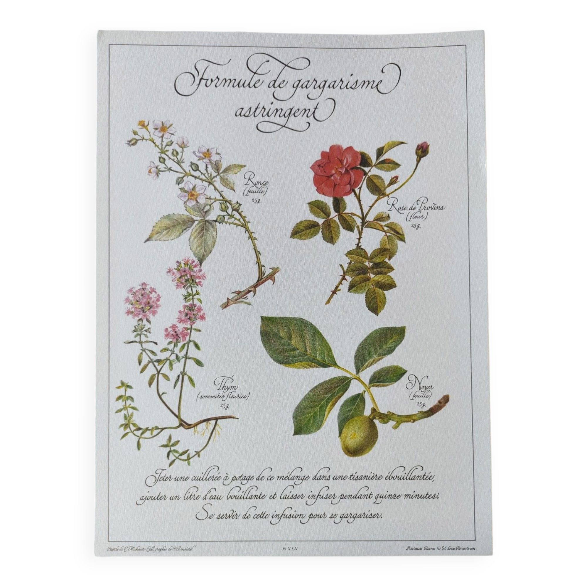 Botanical engraving -Astringent gargle formula- Illustration of medicinal plants and herbs