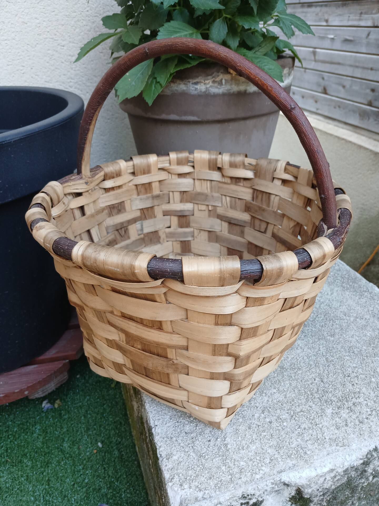 Panier ancien à champignons