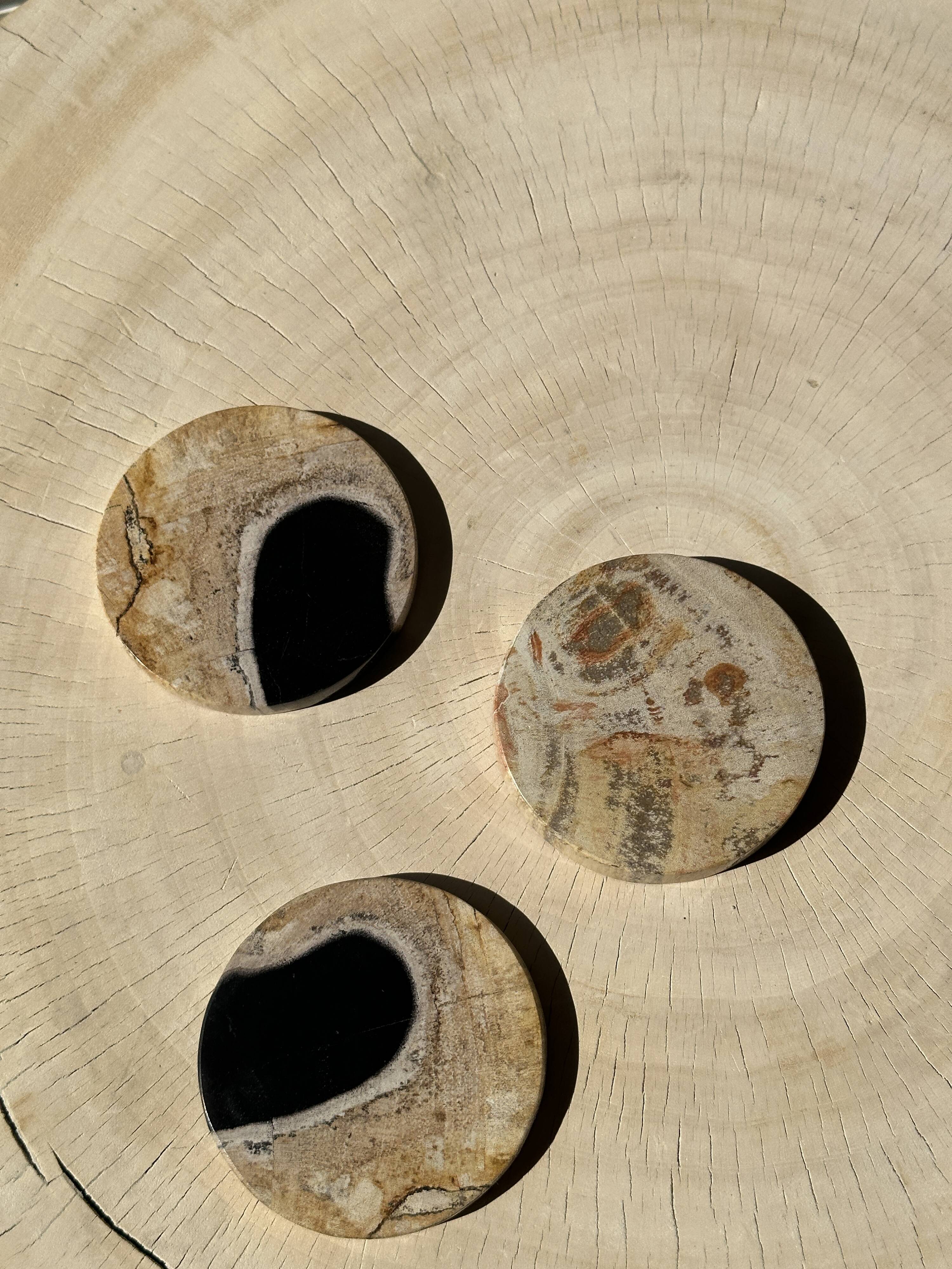 Set of 3 fossilized wood coasters (clear)