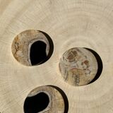Set of 3 fossilized wood coasters (clear)