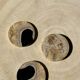 Set of 3 fossilized wood coasters (clear)
