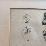 Old Print Engraving 19th Century Study Sketch Ear Nature Barbier L'Ainé