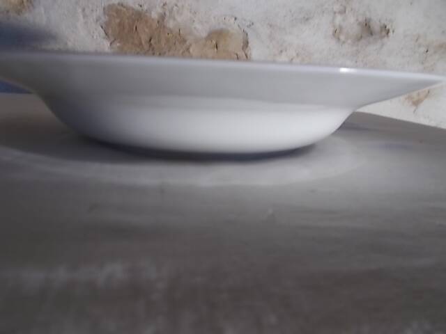 Round hollow dish Limoges Guy Degrenne corynthe model