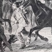 Original framed engraving of the nineteenth after Hippolyte Lalaisse, Cluny Stallion Fair