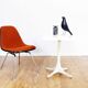 Original chair Eames DSX Herman Miller Vitra edition of the 70s.