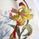 Assiette polychrome signée Kg Luneville 19ème lys et papillons