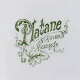 flat oval iron ground PLANE TREE
