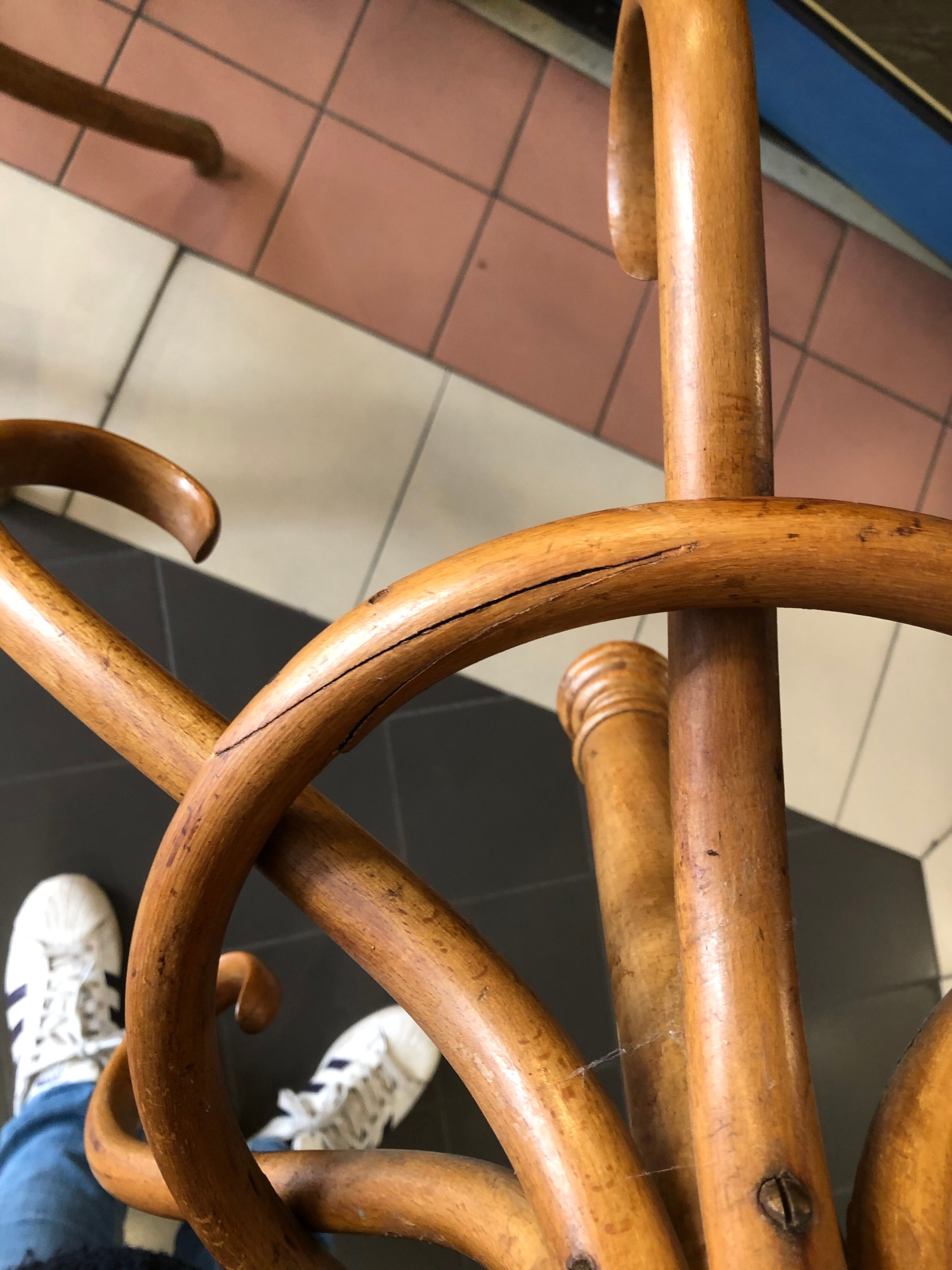 Old parrot coat holder Thonet vintage