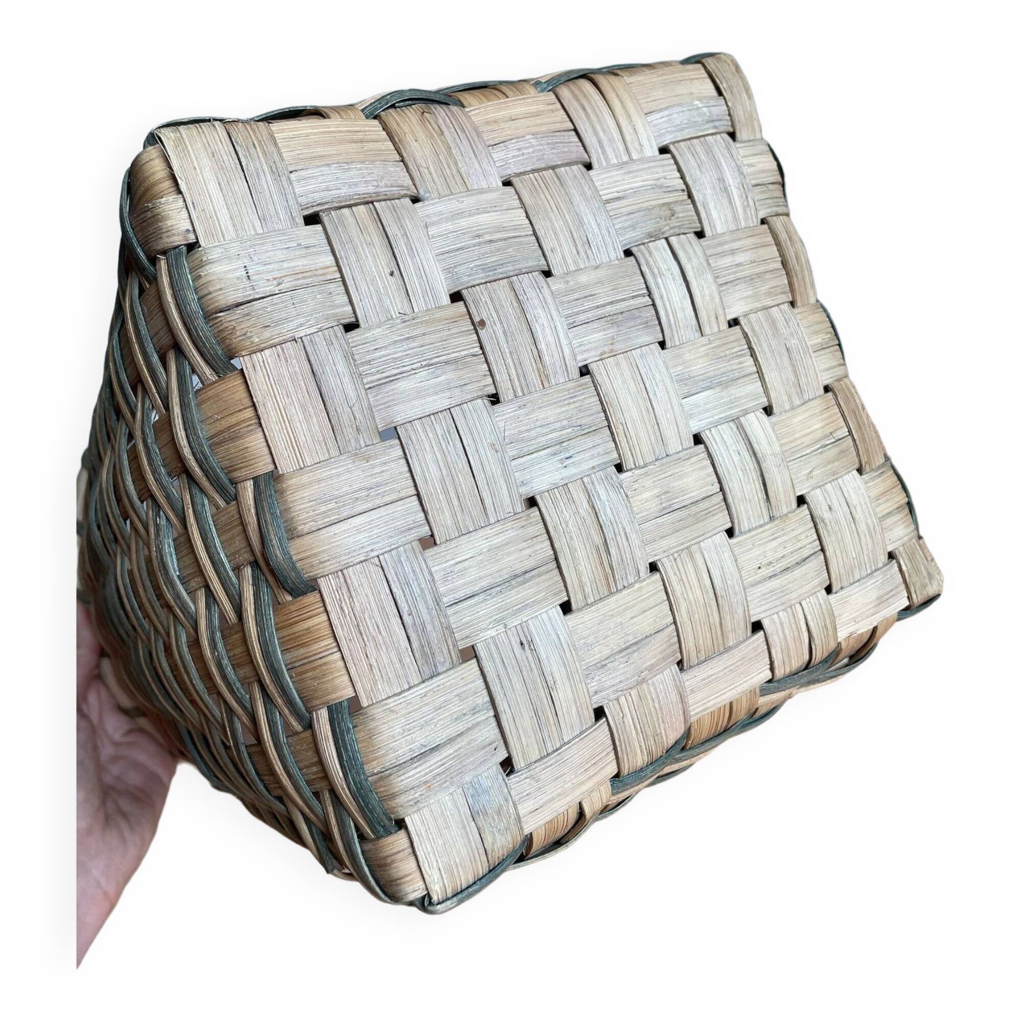 Green beige wicker basket