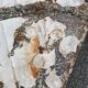 Victorian plaque