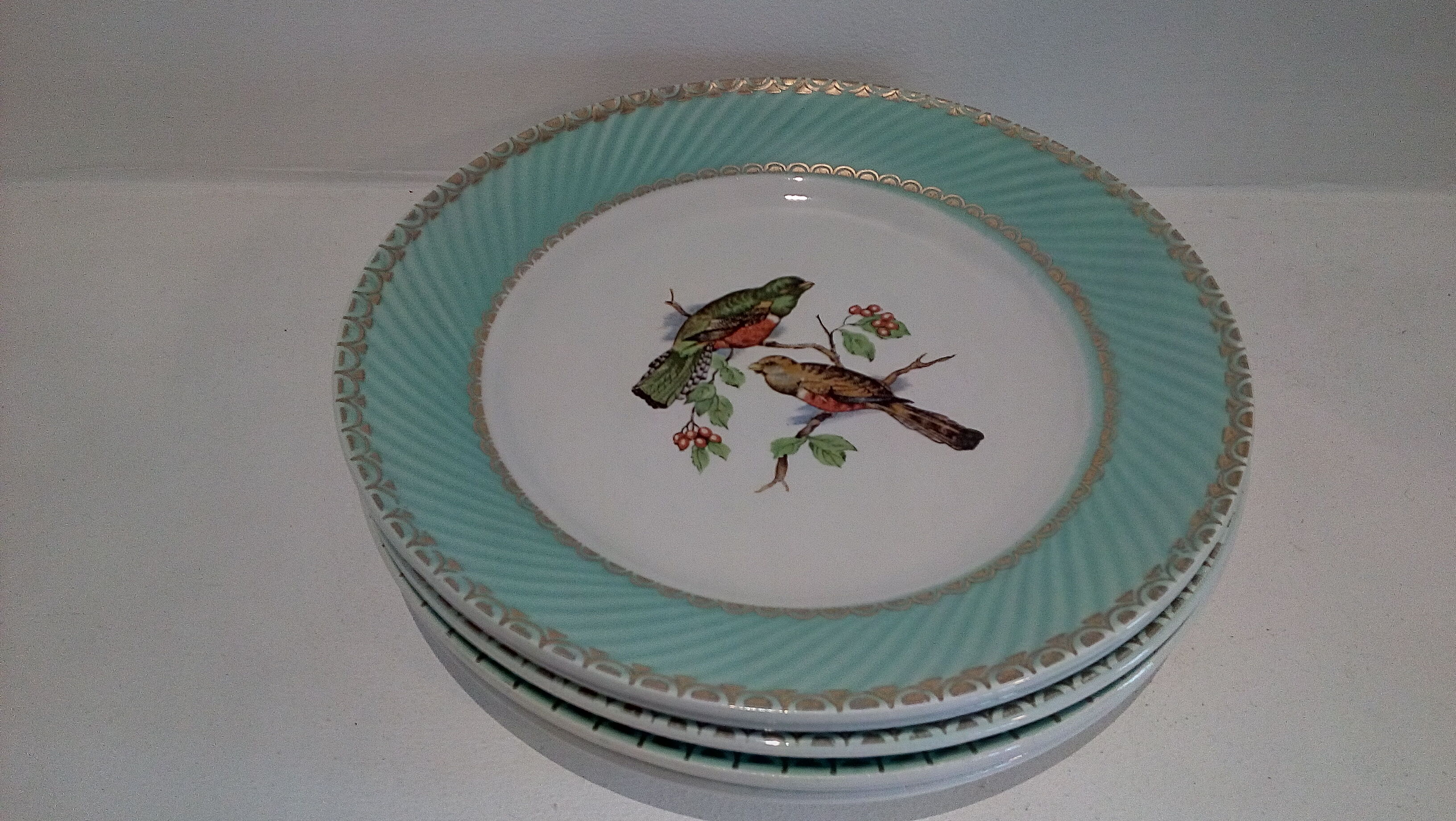 Flat plates water green birds