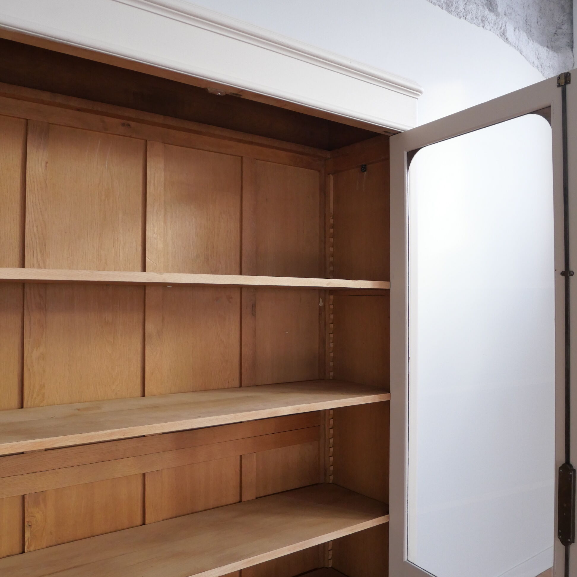 Antique library showcase