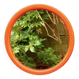 Vintage round wall mirror in orange plastic - diameter: 46 cm