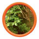 Vintage round wall mirror in orange plastic - diameter: 46 cm