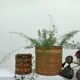Lot of two wicker baskets