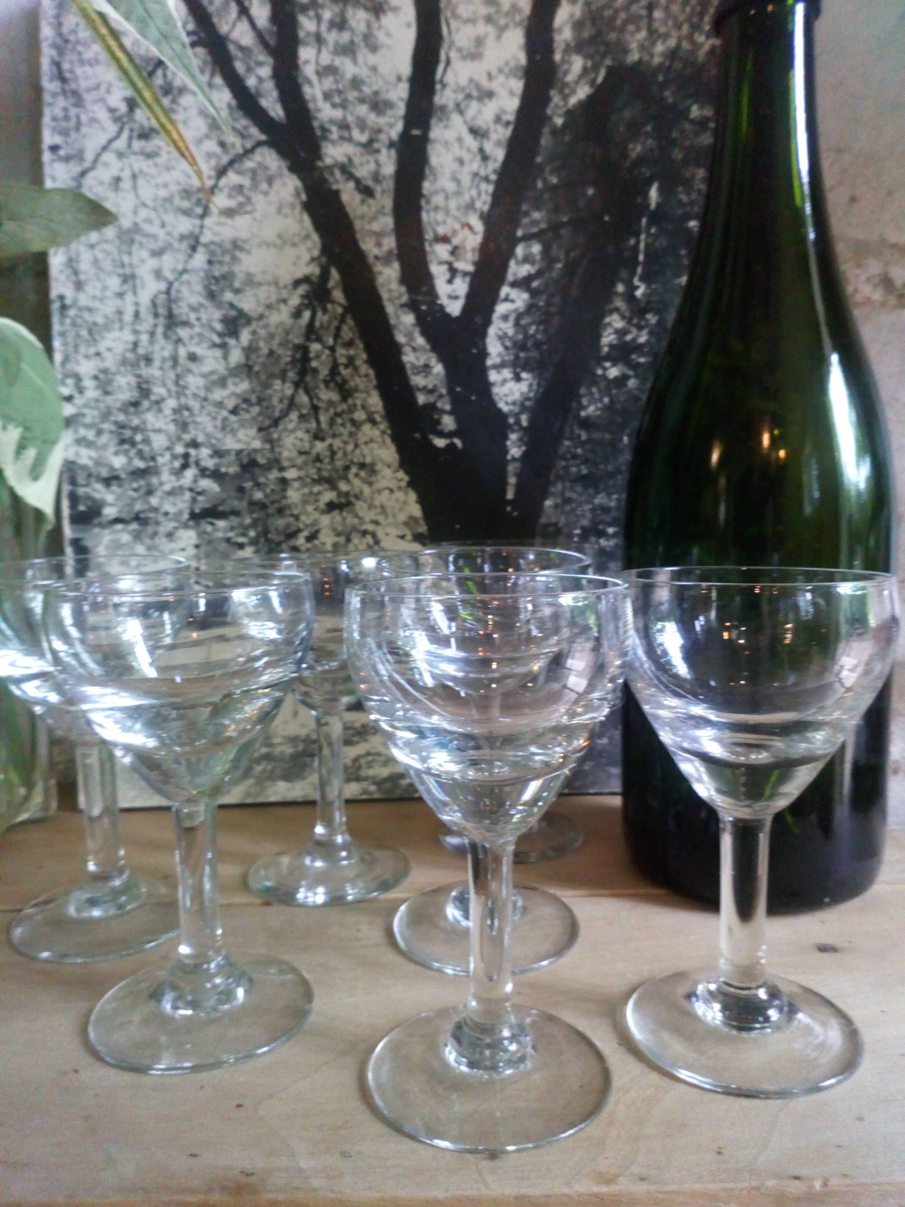 Seven glasses of bistro on foot 40s