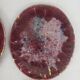 6 Morvan oval flat plates