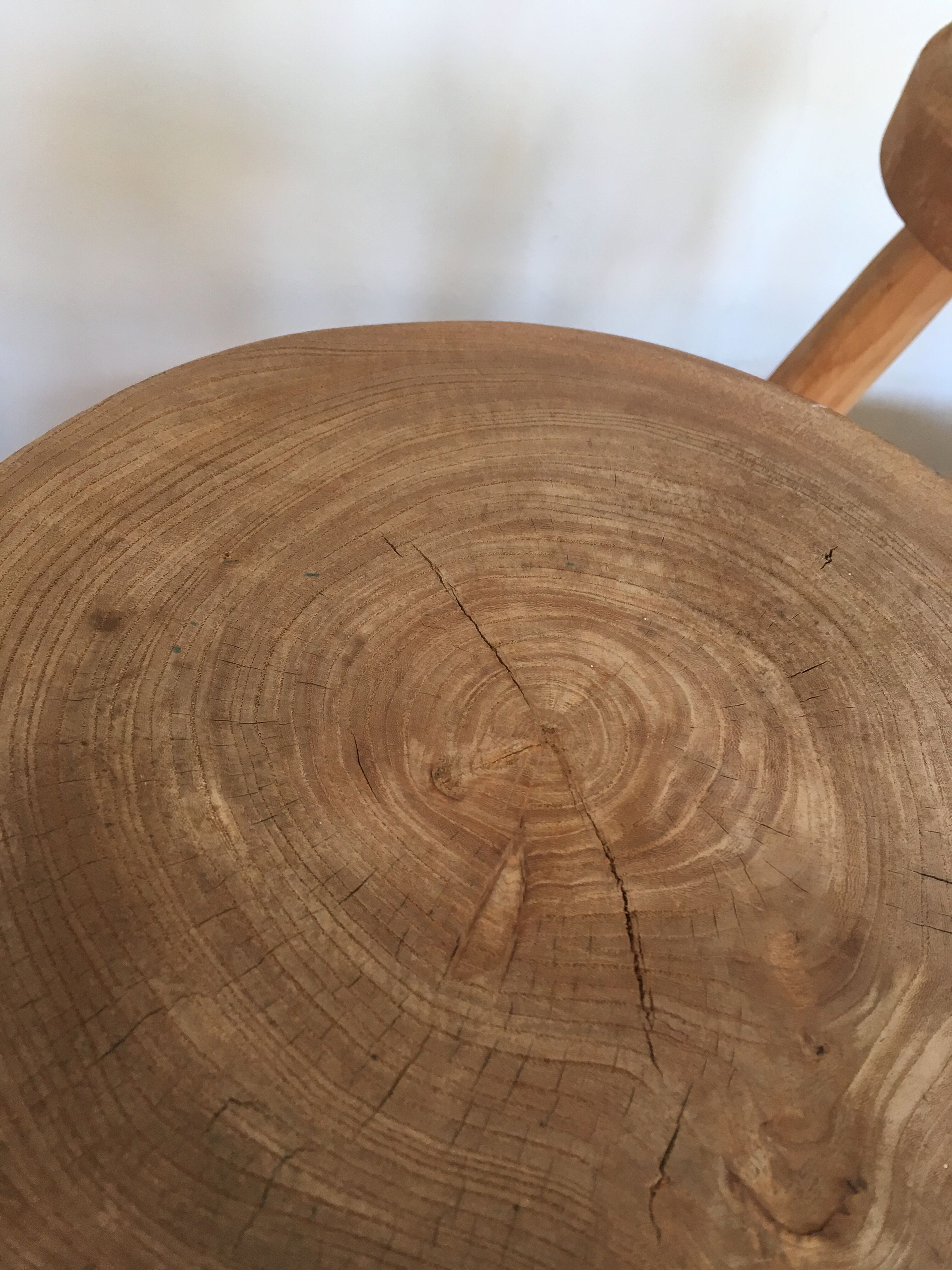 Pair of tripod stools of farm in raw Elm