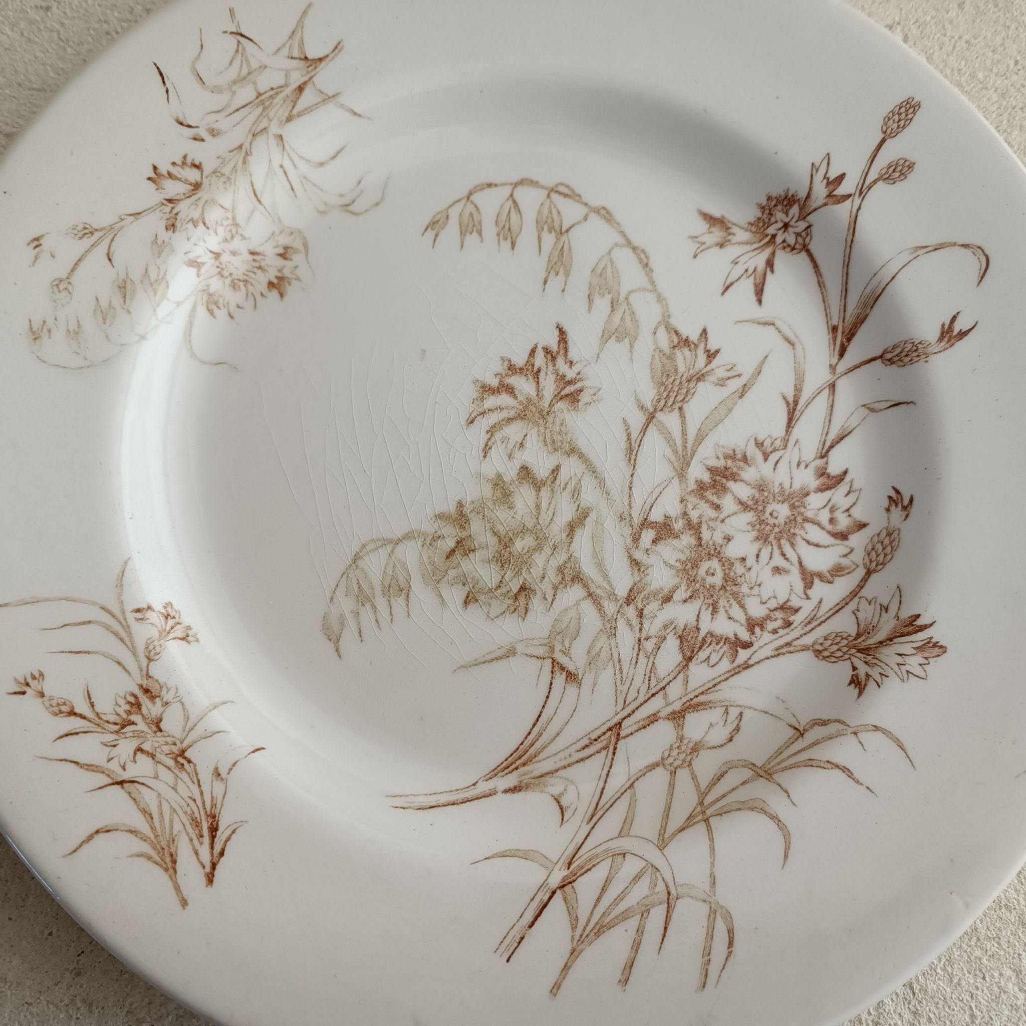 2 plates earth of iron Lunéville