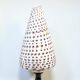 Cabinet of Curiosities: Conus shell on a blackened wooden base, 19th century