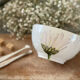 Bol Villeroy & Boch