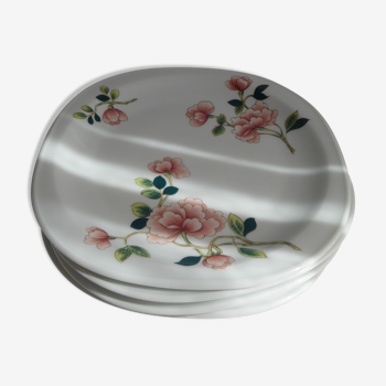 Limoges porcelain plates with floral decoration
