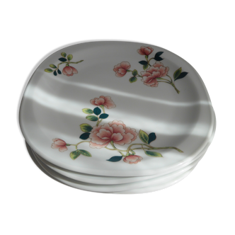 Limoges porcelain plates with floral decoration