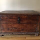 Old trunk