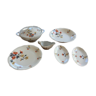 Service dishes and exotic pattern porcelain tureen
