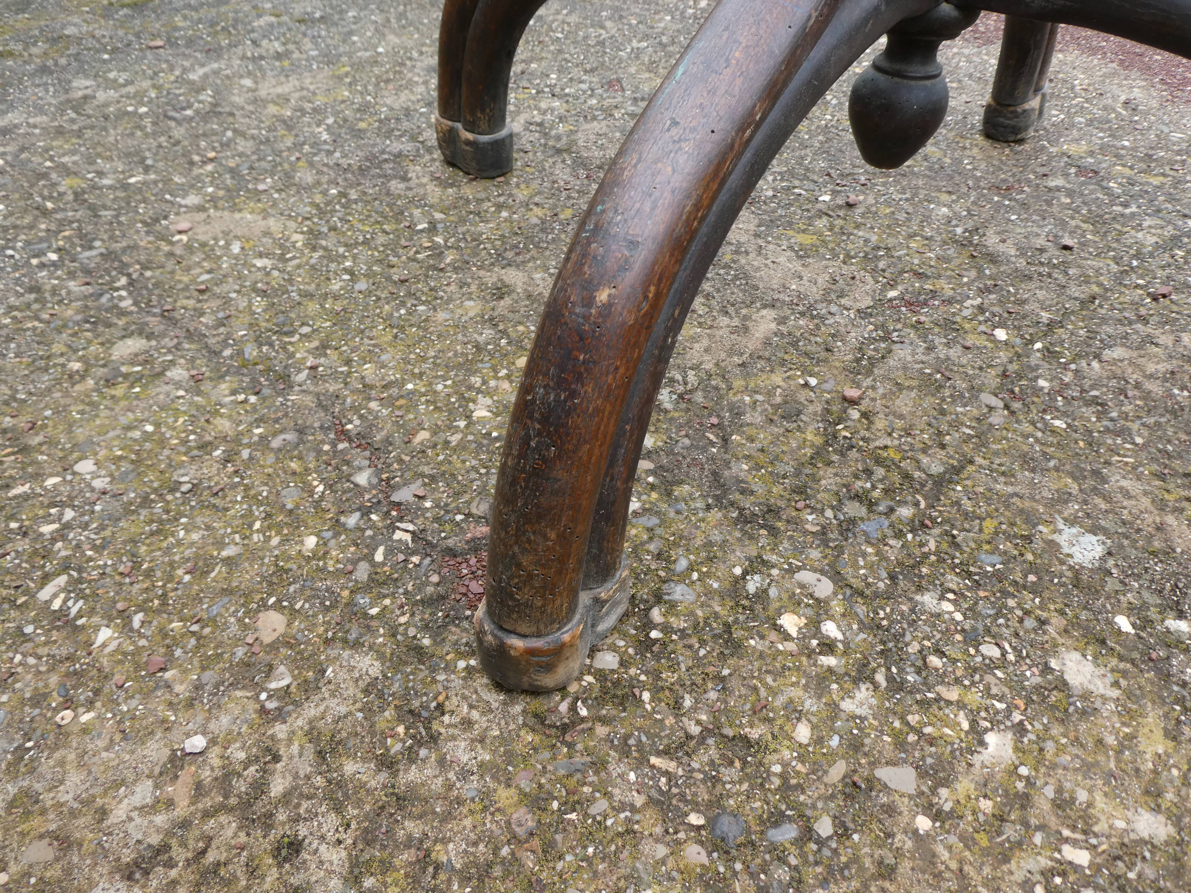 Parrot coat holder in curved wood - Art Nouveau