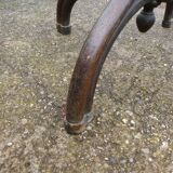Parrot coat holder in curved wood - Art Nouveau
