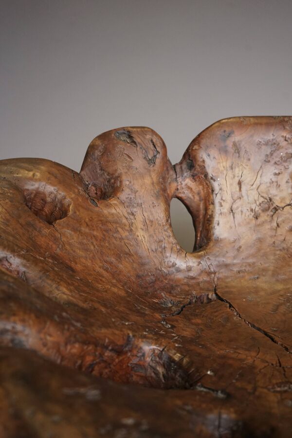 Fauteuil bas sculptural en loupe de bois. Années 1970