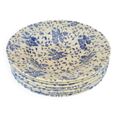 7 assiettes creuses en faïence anglaise Royal Tubor décor Bouquet