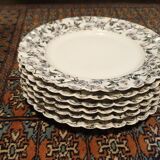 6 assiettes plates 24cm  H&C